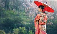 11月17日生日花语 苹果花 星座百科网