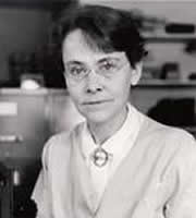 芭芭拉·麦克林托克