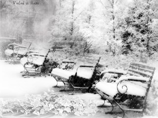 双鱼座三出生在晚冬